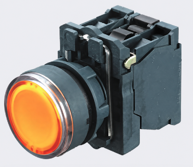 SB5 Series Pushbutton Switches